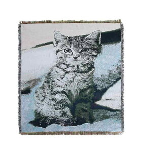 uPbg \t@Jo[ AJ g L Rbg l ^yXg[ \t@uPbg  Vv _ 傫TCY