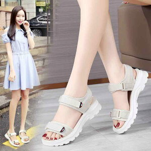 JWA V[Y fB[X C  T_ fB[X  \tg\[ _炩 ~ߕt S r[` V[Y ʋC ɂ JWA gxV[Y