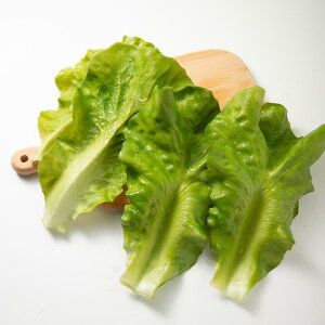 HiTv ͌^ Ɩp Xܗpi   ͋[ Hi Hו I HX { X A |pI  ^X 