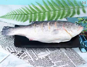 HiTv ͌^ Ɩp Xܗpi   ͋[ Hi Hו I HX { X A |pI  