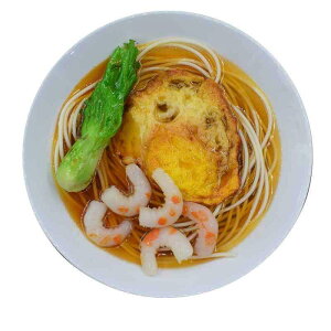 HiTv ͌^ Ɩp Xܗpi ͋[ Hi Hו I HX { X A |pI 23cm  [ r[t