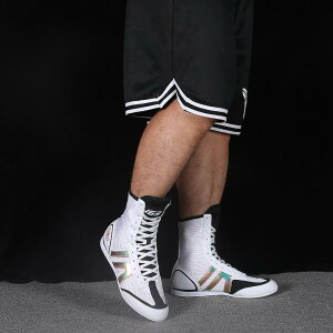 t@CeBOV[Y q {NVOV[Y l Y fB[X  W   g[jOV[Y Z i XOV[Y