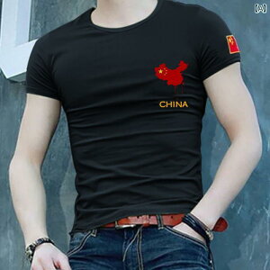 TVc EhlbN vg Y ~^[ P XtBbg  VlbN ێ  ĕ j t@bV |Cg