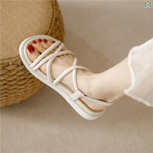 fB[X NXXgbvtbgT_ ؂񂱃V[Y \  킢 Vv 킹₷ ₷ r ʊw ʋ d x Cxg tFX W[ r[