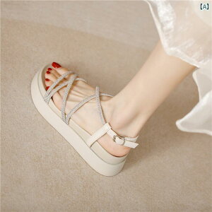 fB[X XgbvtbgV[Y \T_  킢 ꂢ 킹₷ ₷ r ʊw ʋ d x Cxg tFX W[ r[` p[eB