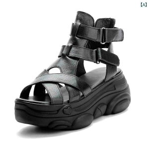 T_ fB[X  \ T}[ V[Y  킢  킹₷ ₷ Abv  Cxg tFX W[ AEghA p[eB[ f[g s