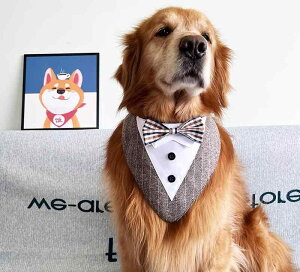 lN^C   ybg Op XJ[t  S[fgo[  X^CbV ^LV[h p[eB[    O[