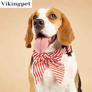 lN^C   { XgCv {[_[ ANZT[  obN  ybg ^ ^ ^  [ht   