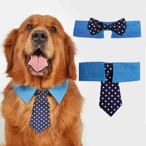 lN^C  j̎q  fj     ybg am p ANZT[ ʃt@Xi[ L   ^ 