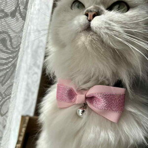 L  { lN^C ߉\ xg LL 킢 qh~ t ybgpi `[J[  S[h sN u[