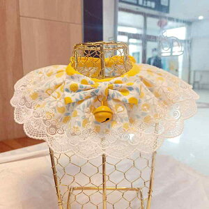 L   Z[teB obN ybgp  lbNX ANZT[  x 킢 ^