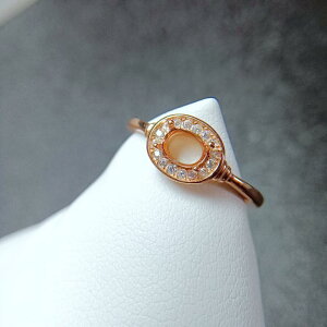 w fB[X S925Vo[ t[TCY  u΍g v`ibL [YS[h CG[S[h Ή΃TCY3~4~ 4~5~