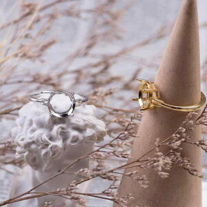 w fB[X S925Vo[ dCbLH g I[vO ؍ Vv N[ X^CbV  Eh 􉽊w i \