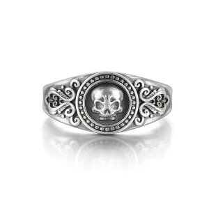 w Y XJ S925⃁bL t[TCY g h fUC Xg[gn A[gn 􉽊w͗l jZbNX