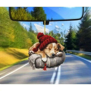 J[ANZT[ AN ݂艺 ԓ I[ig 킢 J[gD[ LN^[ y NX}Xc[I[ig ԗp`[ fR[V(x2)