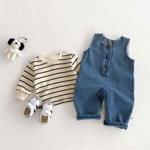 xr[ p[X fj Tybg  TVc XgCv 2_Zbg jp 100% tH o V c 킢 JWA ؍q Xibv{^