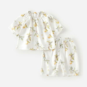 pW} LbY xr[ jp ėp  K[[f Đ@ ɗD ʋC Q z 2_Zbg  pc [EFA  Q