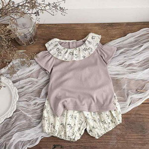 xr[ ̎q ZbgAbv ĕ t`ԕ 100%  t݃gbvX ڂpc 2_Zbg  _炩 ɗD ʋC [EFA o ؍ 