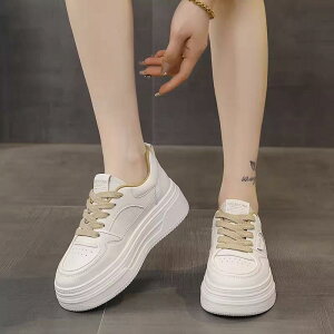 Xj[J[ fB[X  y \tg\[ Ռz K ₷ r  \ JWA [XAbv v H~ EhgD uE ItzCg