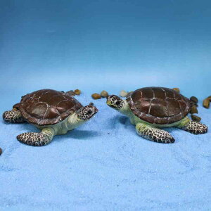 u E~K CmV[Y A Iȍ  ANAE K[f ~j`A  H|i CeA IuWF 킢  G