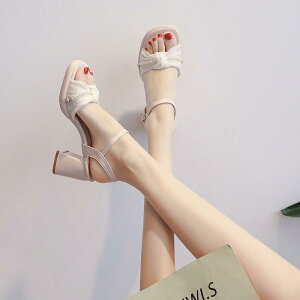 T_ fB[X ɂ r X^CAbv `L[q[ EhgD v S t 킹₷ g