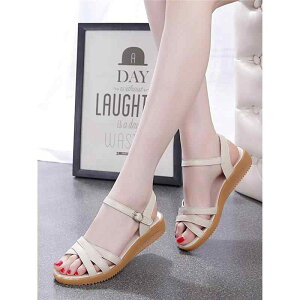 ~ \tg\[ {v U[ fB[X T_ }^jeB }}V[Y i[XV[Y Ōtp tbgq[ _炩Sn JWA t x[W ubN S