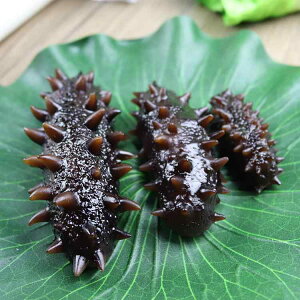 �H�i�T���v�� ���A�� �i�}�R �t�F�C�N �C�N �C�~�e�[�V���� �f�B�X�v���C �X�ܑ��� �I�u�W�F ���H�X �W���p �B�e�p ������ �_�~�[ �� �� �� �T�C�Y