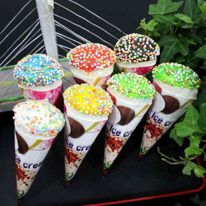 ① }Olbg XvN ACXN[ R[  킢 _ Vv CeA fBXvC u Be tHgvbvX fR[V 