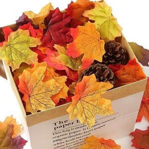 tFCN[t 8cm Pi nEB NX}X  CeA ݂̗t Cv[t VN i I[ig Ǐ e[ufR[V