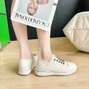 Xj[J[ fB[X  ʋC {v v Xb| y ~ X|[cJWAV[Y   x[W ~hq[ tďH fC[[X(x2)