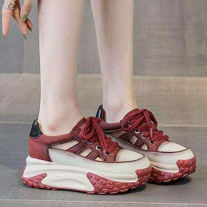 Xj[J[ fB[X t X|[c ~ ʋC t@bV K JWA _bhV[Y [} ؂ւ EhgD ubN bh CG[ zCg o[\[