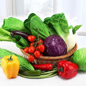 HiTv ͑ tFCNt[h AX`[ 卪 ͌^ u HX ze Xg X fBXvC V[P[X { Wp