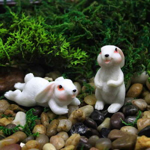 A ~j`A u 킢 ETM tBMA K[fjO  P[L fR[V NGCeBu c Aj} IuWF fXN