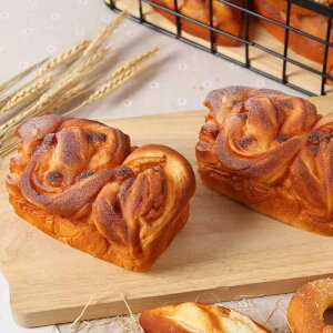 HiTv PUf Lg[Xg tFCNp A XC[cf Bep fBXvC u CeA Xܑ _~[t[h