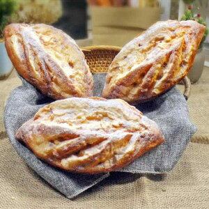 HiTv ̗t^ ^p [Y VK[t Xg ƒp fBXvC IuWF V[P[X Bep CeA(x2)