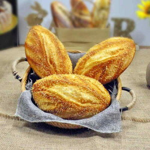 tFCNp  ӂӂ ^ tXp t^ AȎ HiTv Lb` Xg JtF ȃCeA BepfBXvC u(x2)