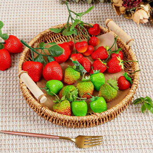 tFCNt[c HiTv A  vX`bN Be fBXvC  V[EBhE CeA Tv͌^    Xgx[ ʕ