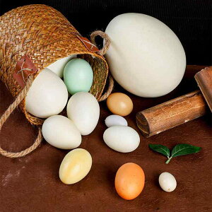 HiTv A ͌^ fBXvC Bep Xܑ  tH[ { _`E  EY K`E Aq IuWF CeA