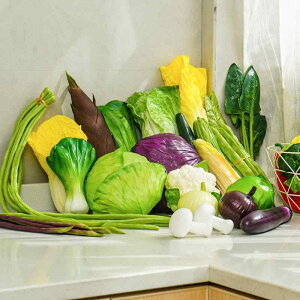 HiTv A tFCN Iȍ mߋ Be fBXvC Xܗp V[EBhE  卪 iX g}g gERV J{` ^}lM