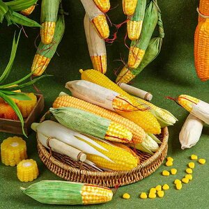 食品サンプル リアル フェイクコーン 模型 フォーム製 発泡スチロール製 撮影用小道具 ディスプレイ用 店舗装飾 インテリア 野菜 果物 皮付き 白 青 コーン棒