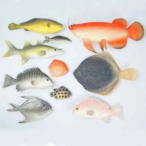 HiTv Aȋ͌^ T} ^[{bg nN \EM 싛 IPUf fBXvC IuWF CeA