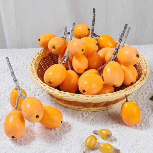 HiTv t[c͌^ LbY qp AȃtFCNf u  Xܗp fBXvC  t Be vX`bN AX`[ ʕXfR[V