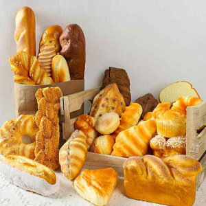 HiTv p Be fBXvC IuWF Xܑ f[p tFCNt[h PU Cp oQbg Hp NbT p fjbV ATCY