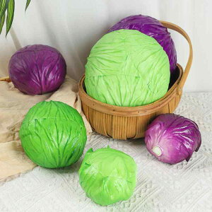 tFCN A I  Lxc ͌^ u p fBXvC Tv Bep Xܗp  Lb` CeA  