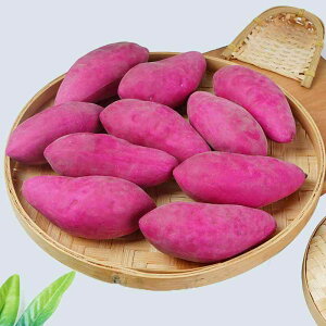 HiTv A  ܂ tFCN AX`[ y fBXvCp Be m狳 Xܑ V[P[X t CeA IuWF