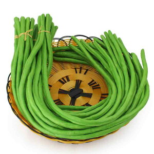 HiTv A CQ ͌^ PUf { Lb` ze HX fBXvC Be c m 