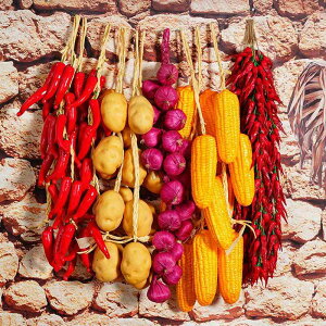 tFCN t[c   A ݂邵 CeA fBXvC IuWF Be n _ƃXg HX ct Xܗp