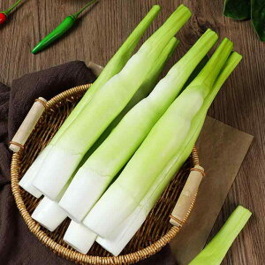 HiTv tFCN A }R_P ͌^ I fBXvC u Bep X܏Y f[ CeA PU