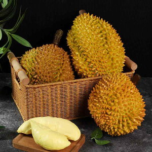 HiTv hA LR ʓ A I tFCNt[c Xܑ fBXvC V[P[X u vX`bN PU i CG[ F