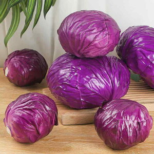 HiTv A tFCN Lxc ԃLxc PU SMLTCY fBXvC Wp Xܑ V[P[X Be ܂܂ 